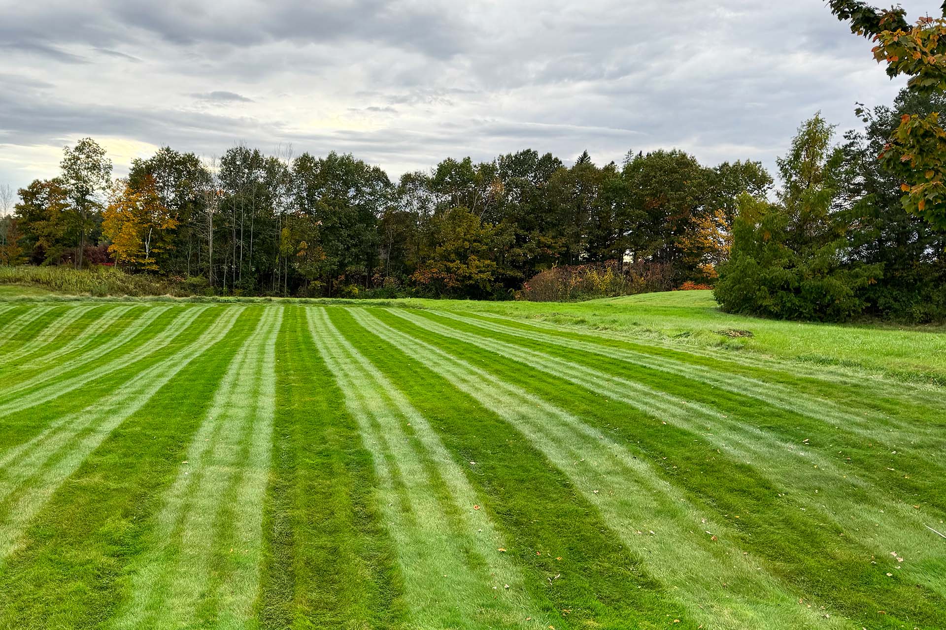Freshly mowed lawn for weekly mowing service near me