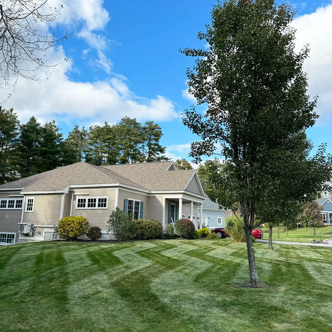 A picture of a home with a lawn that has been aerated for lawn aeration service near me