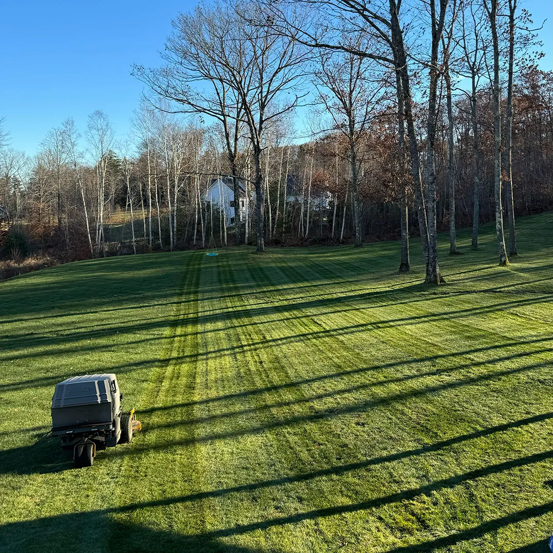 Picture of a commercial lawn mower for lawn mowing service near me