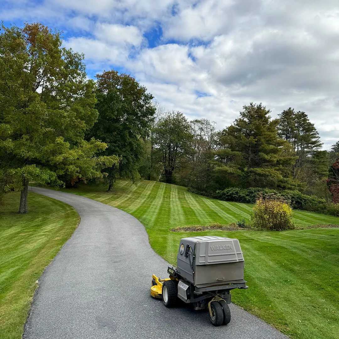Picture of a commercial lawn mower for lawn mowing service near me