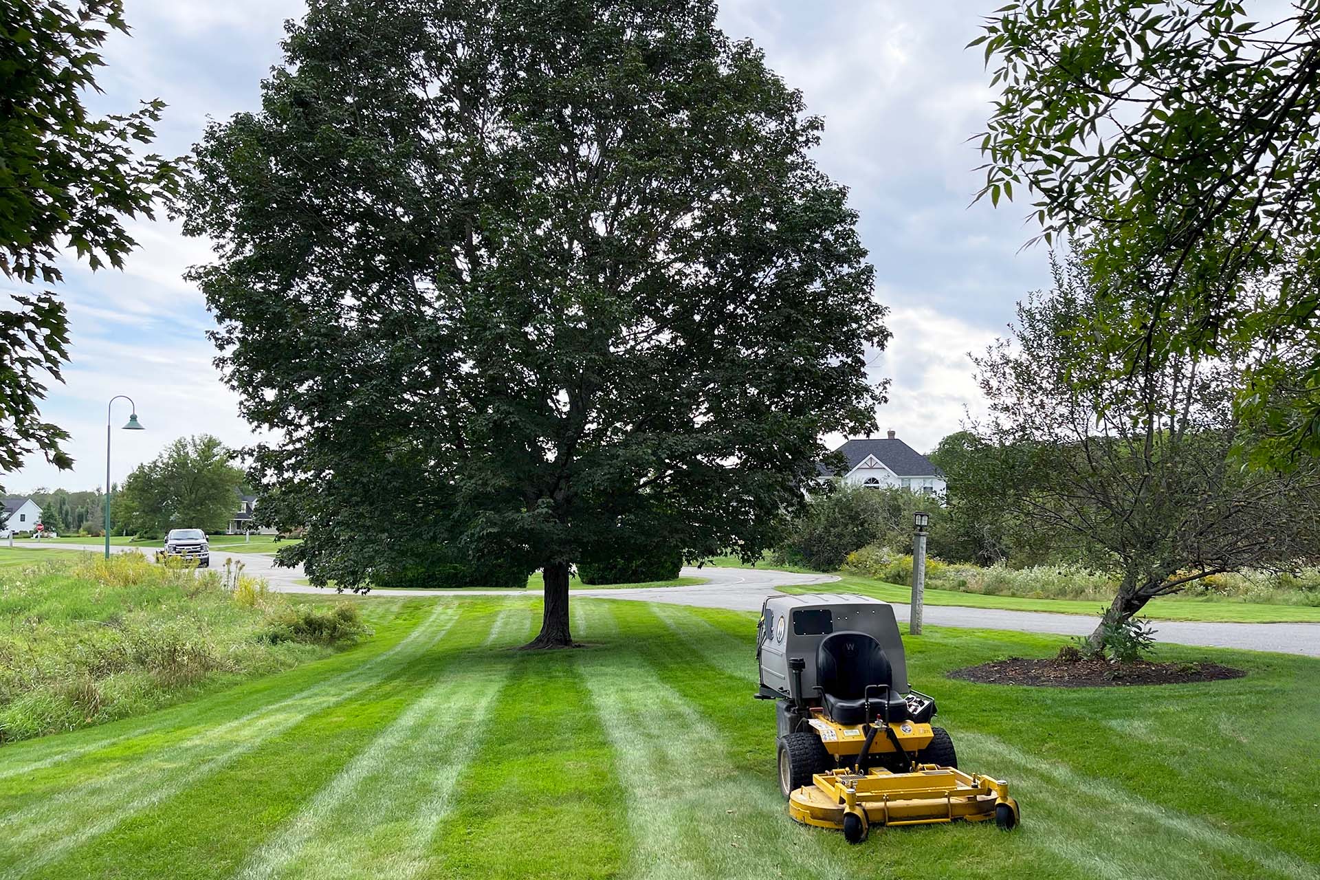Picture of a lawn mower for lawn care service near me